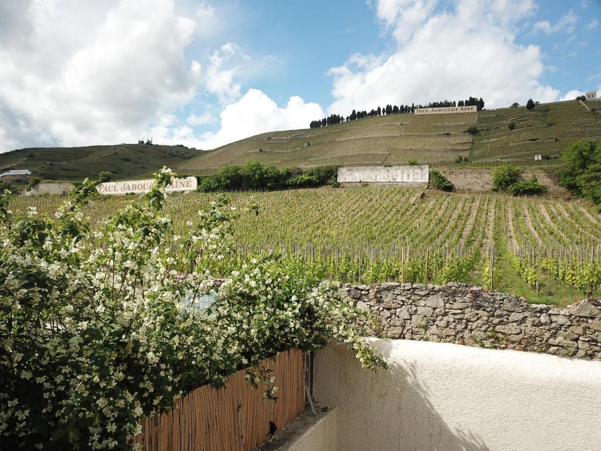 Le Pavillon De L'Hermitage - Spa Ouvert D'Avril A Octobre Tain-lʼHermitage Екстериор снимка